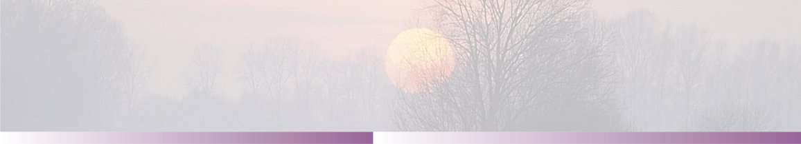 Motiv 11 Sonne lila